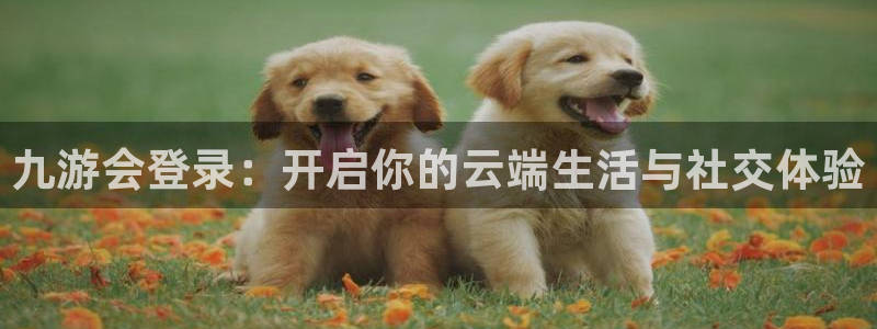 幸运彩9815：九游会登录：开启你的云端生活与社交体验