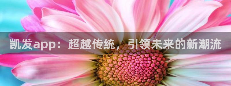 幸运彩welcome大厅购彩：凯发app：超越传统，引领未来的新潮流
