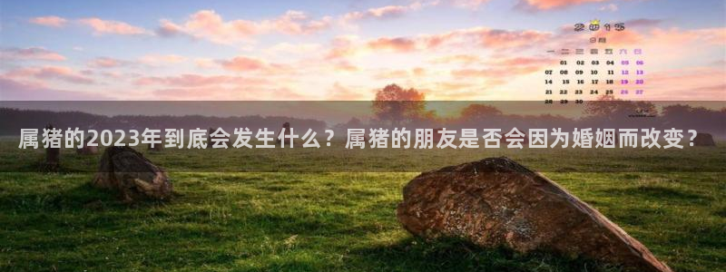 幸运彩官方网站app下载：属猪的2023年到底会发生什么？属猪的朋友是否会因为婚姻而改变？