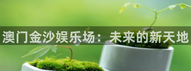 幸运彩网址：澳门金沙娱乐场：未来的新天地