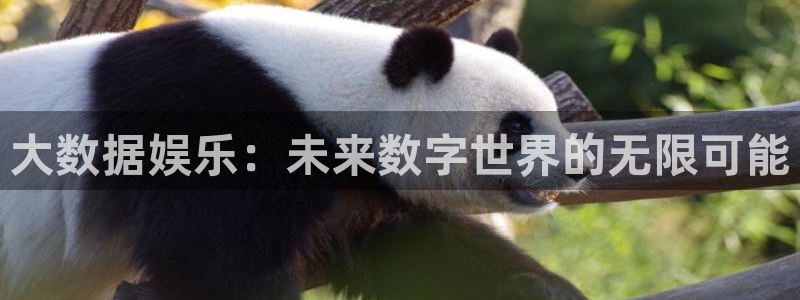 幸运彩官方网站app下载：大数据娱乐：未来数字世界的无限可能