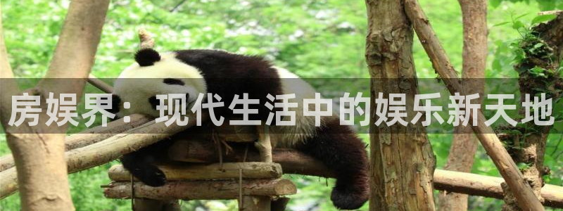 幸运彩最新版：房娱界：现代生活中的娱乐新天地