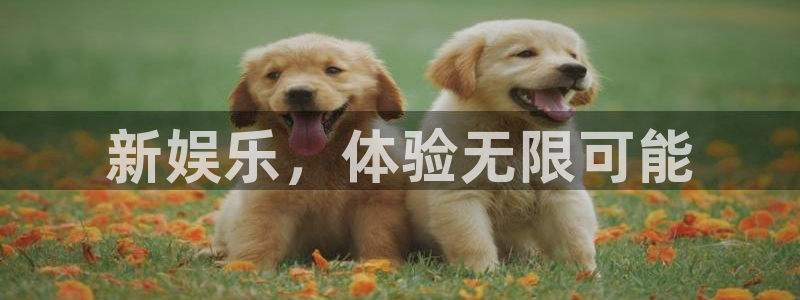 幸运彩网：新娱乐，体验无限可能