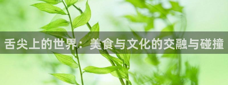 幸运彩welcome官网入口app：舌尖上的世界：美食与文化的交融与碰撞