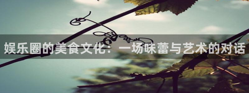幸运彩com：娱乐圈的美食文化：一场味蕾与艺术的对话