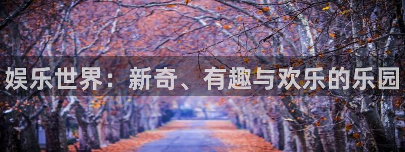 幸运彩快3：娱乐世界：新奇、有趣与欢乐的乐园