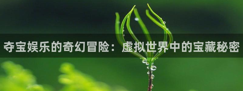 幸运彩网页：夺宝娱乐的奇幻冒险：虚拟世界中的宝藏秘密