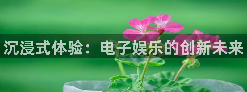 9815幸运彩：沉浸式体验：电子娱乐的创新未来