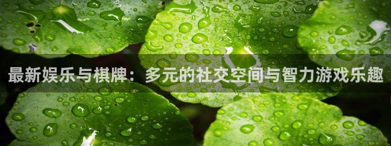 幸运彩安卓版免费下载：最新娱乐与棋牌：多元的社交空间与智力游戏乐趣