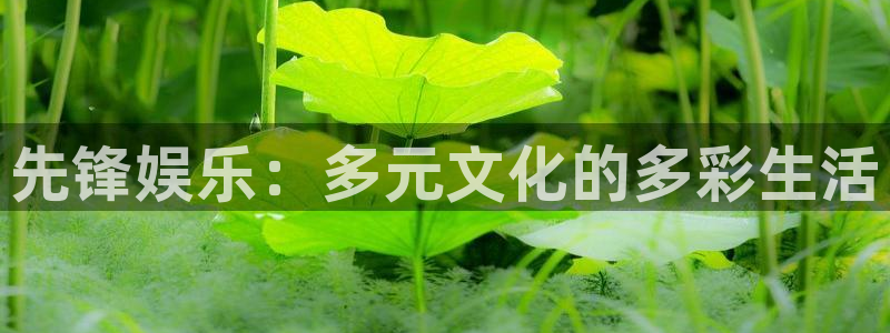 幸运彩welcome大厅购彩：先锋娱乐：多元文化的多彩生活