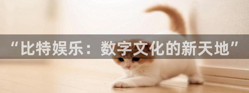 幸运彩官方网站：“比特娱乐：数字文化的新天地”