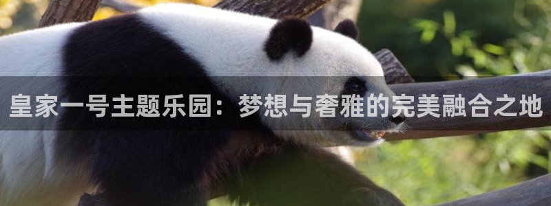 幸运彩下载：皇家一号主题乐园：梦想与奢雅的完美融合之地