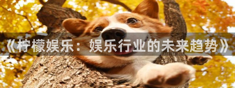 幸运彩平台网址：《柠檬娱乐：娱乐行业的未来趋势》