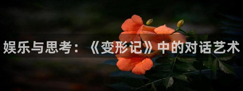 幸运彩安卓版免费下载：娱乐与思考：《变形记》中的对话艺术