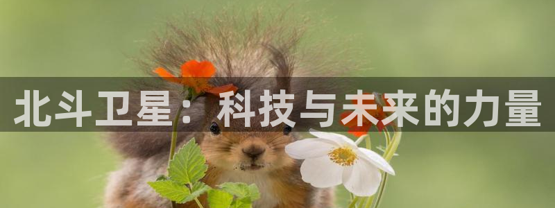 幸运彩官方网站入口：北斗卫星：科技与未来的力量