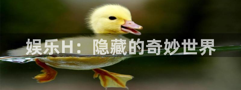 幸运彩app官网入口：娱乐H：隐藏的奇妙世界
