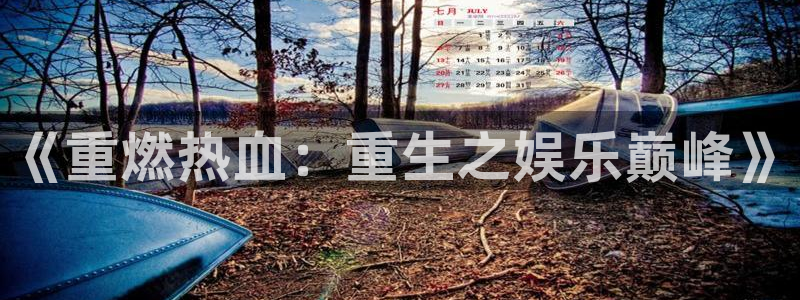 幸运彩仙推荐双胆：《重燃热血：重生之娱乐巅峰》