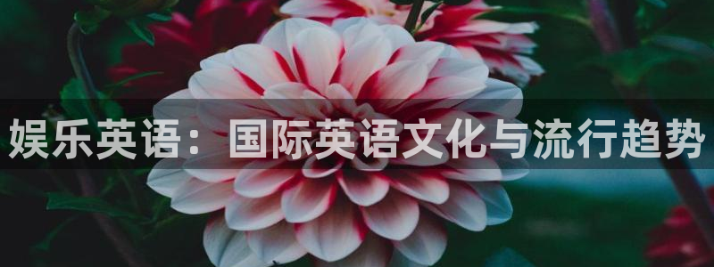 幸运彩app官网入口：娱乐英语：国际英语文化与流行趋势